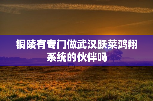 铜陵有专门做武汉跃莱鸿翔系统的伙伴吗