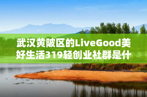 武汉黄陂区的LiveGood美好生活319轻创业社群是什么