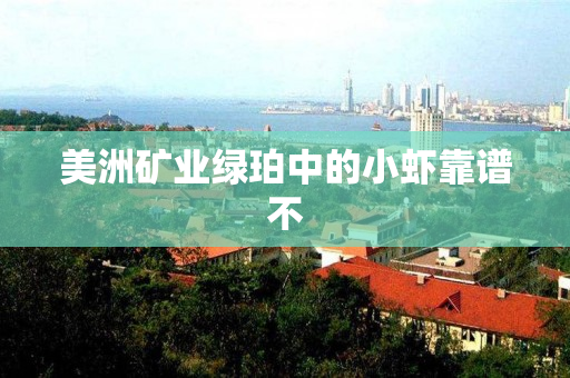 美洲矿业绿珀中的小虾靠谱不