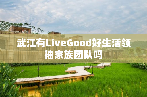 武江有LiveGood好生活领袖家族团队吗