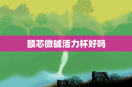 颐芯微碱活力杯好吗