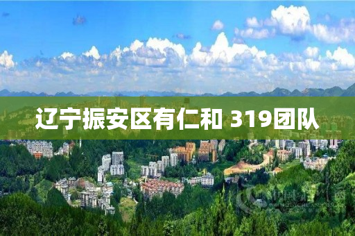 辽宁振安区有仁和 319团队