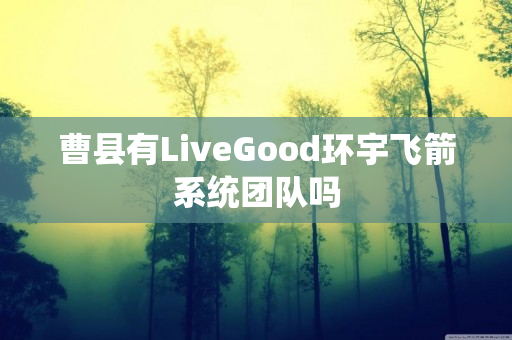 曹县有LiveGood环宇飞箭系统团队吗