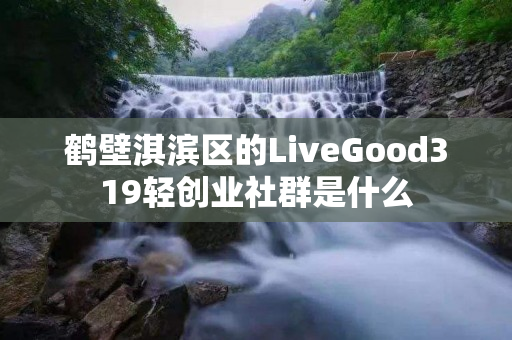 鹤壁淇滨区的LiveGood319轻创业社群是什么