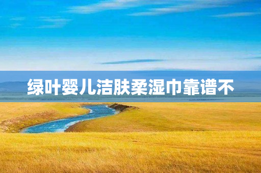 绿叶婴儿洁肤柔湿巾靠谱不