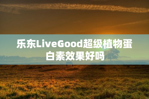 乐东LiveGood超级植物蛋白素效果好吗