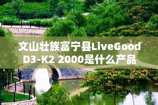 文山壮族富宁县LiveGoodD3-K2 2000是什么产品