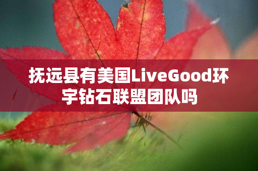 抚远县有美国LiveGood环宇钻石联盟团队吗