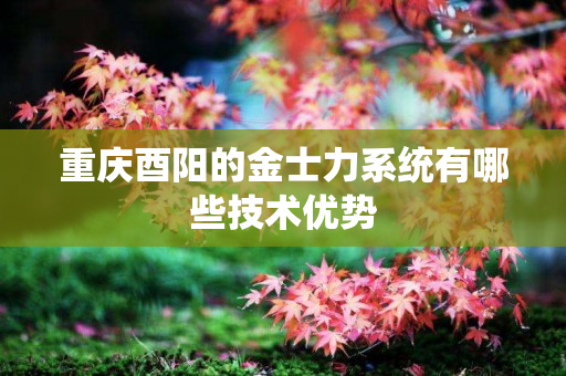 重庆酉阳的金士力系统有哪些技术优势