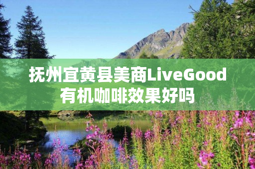 抚州宜黄县美商LiveGood有机咖啡效果好吗