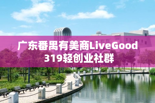 广东番禺有美商LiveGood 319轻创业社群