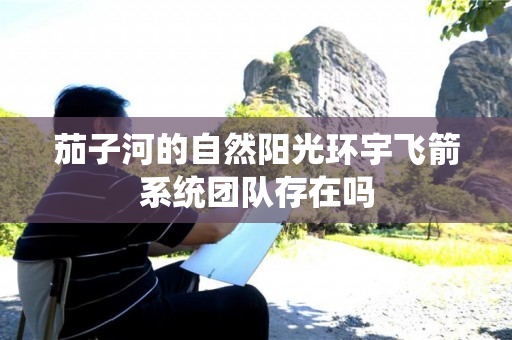 茄子河的自然阳光环宇飞箭系统团队存在吗
