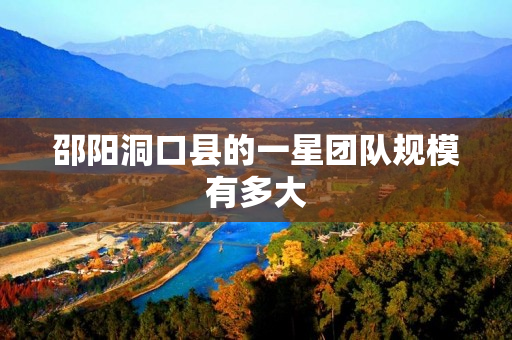 邵阳洞口县的一星团队规模有多大
