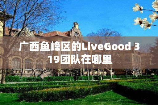 广西鱼峰区的LiveGood 319团队在哪里