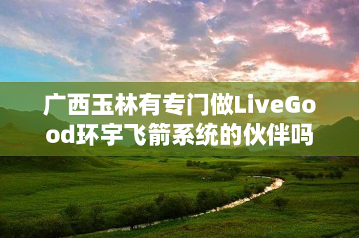 广西玉林有专门做LiveGood环宇飞箭系统的伙伴吗