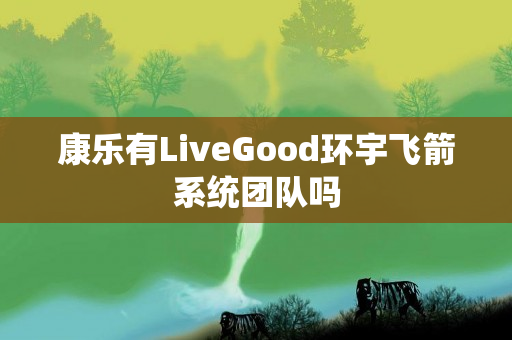 康乐有LiveGood环宇飞箭系统团队吗