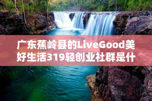 广东蕉岭县的LiveGood美好生活319轻创业社群是什么
