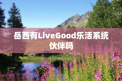 岳西有LiveGood乐活系统伙伴吗