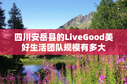 四川安岳县的LiveGood美好生活团队规模有多大