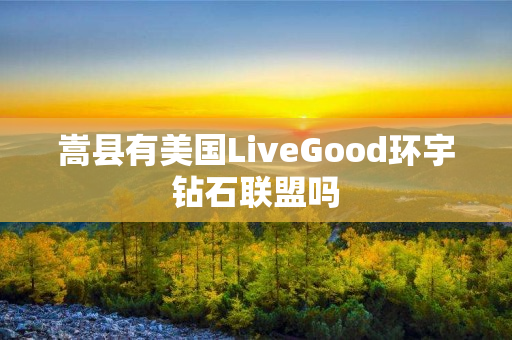 嵩县有美国LiveGood环宇钻石联盟吗