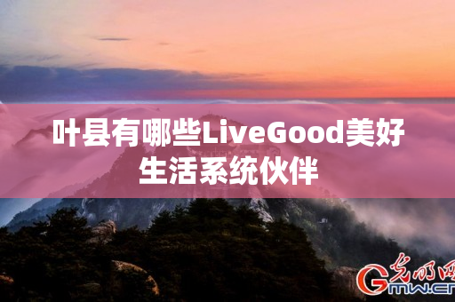 叶县有哪些LiveGood美好生活系统伙伴