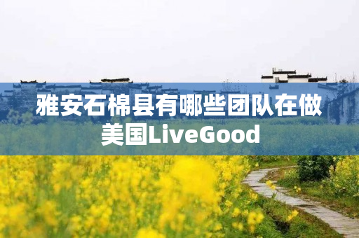 雅安石棉县有哪些团队在做美国LiveGood