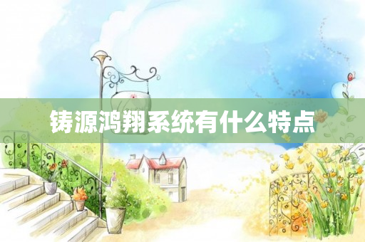 铸源鸿翔系统有什么特点