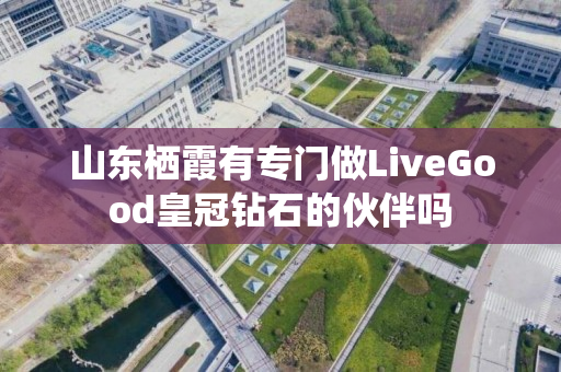 山东栖霞有专门做LiveGood皇冠钻石的伙伴吗