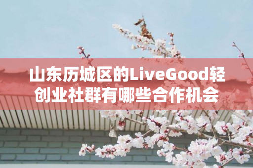 山东历城区的LiveGood轻创业社群有哪些合作机会