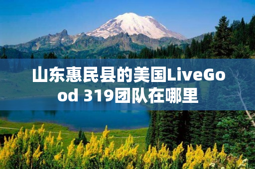 山东惠民县的美国LiveGood 319团队在哪里