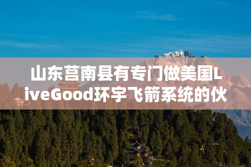 山东莒南县有专门做美国LiveGood环宇飞箭系统的伙伴吗