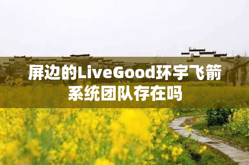 屏边的LiveGood环宇飞箭系统团队存在吗