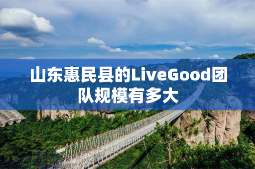 山东惠民县的LiveGood团队规模有多大