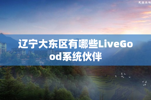 辽宁大东区有哪些LiveGood系统伙伴