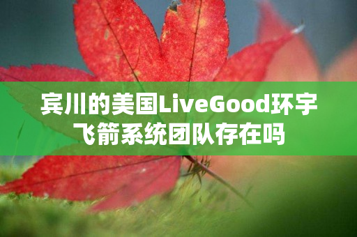 宾川的美国LiveGood环宇飞箭系统团队存在吗