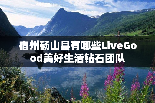 宿州砀山县有哪些LiveGood美好生活钻石团队