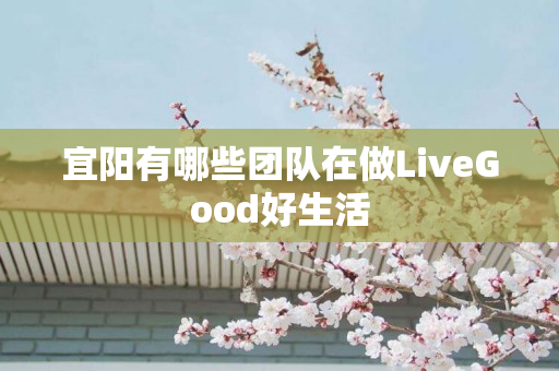 宜阳有哪些团队在做LiveGood好生活