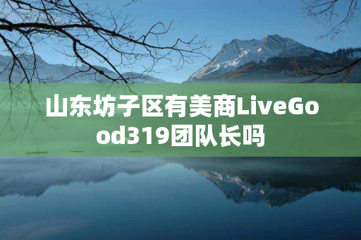 山东坊子区有美商LiveGood319团队长吗