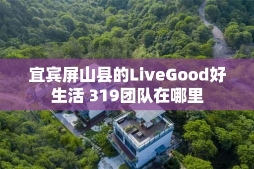 宜宾屏山县的LiveGood好生活 319团队在哪里