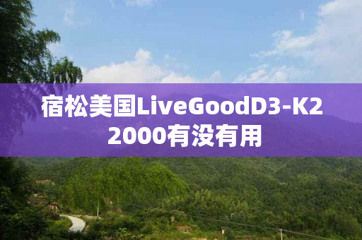 宿松美国LiveGoodD3-K2 2000有没有用