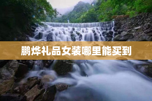 鹏烨礼品女装哪里能买到