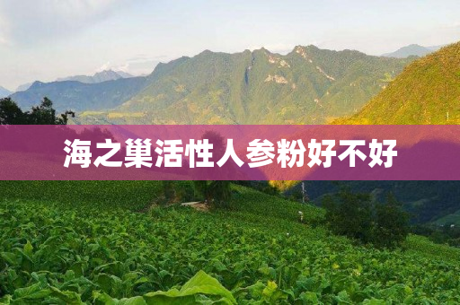 海之巢活性人参粉好不好