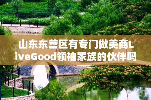 山东东营区有专门做美商LiveGood领袖家族的伙伴吗