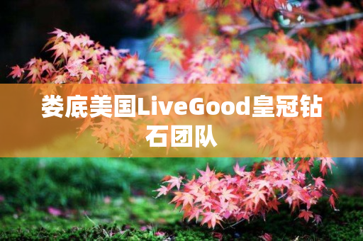 娄底美国LiveGood皇冠钻石团队