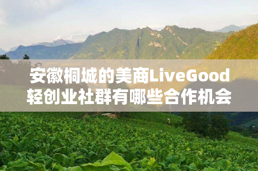安徽桐城的美商LiveGood轻创业社群有哪些合作机会