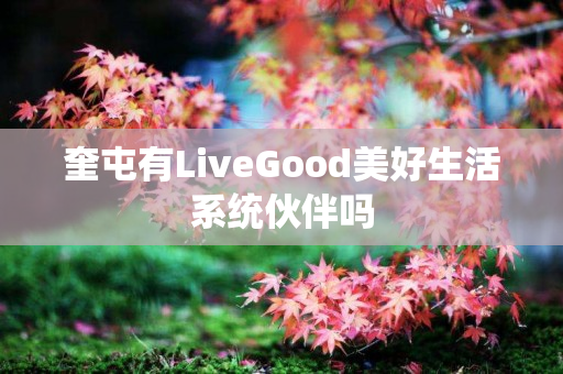 奎屯有LiveGood美好生活系统伙伴吗