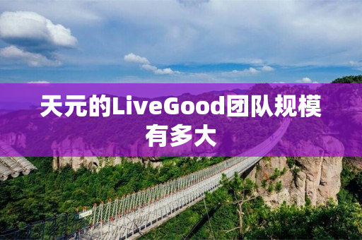 天元的LiveGood团队规模有多大