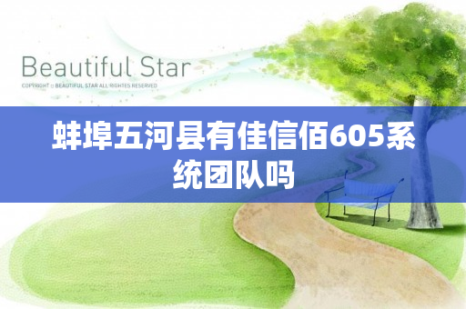 蚌埠五河县有佳信佰605系统团队吗