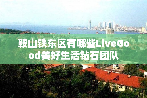 鞍山铁东区有哪些LiveGood美好生活钻石团队