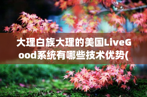 大理白族大理的美国LiveGood系统有哪些技术优势(大理白族服装图片)